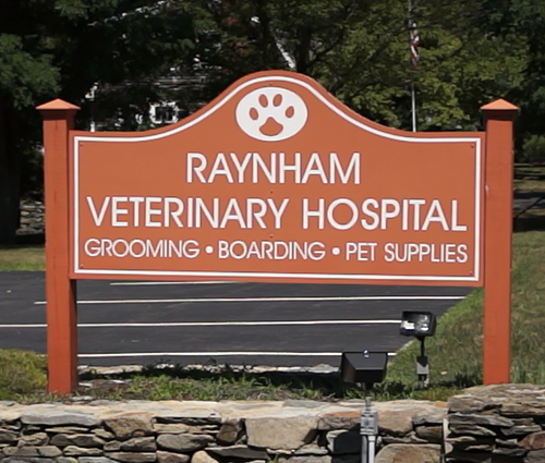veterinary services in raynham, ma