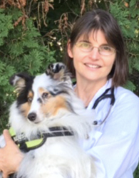 Dr. Laurie Buche Raynham, MA | Raynham Veterinary Hospital, Inc.